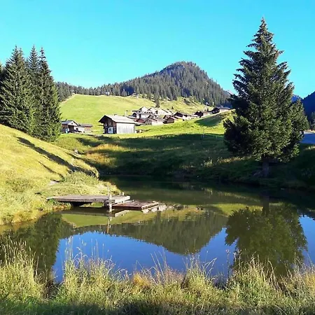 In St Gallenkirch Near Area