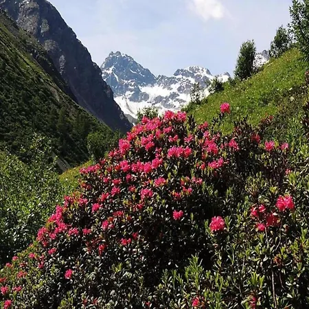 In St Gallenkirch Near Slopes