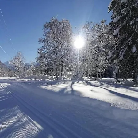 In St Gallenkirch Near Slopes Sankt Gallenkirch