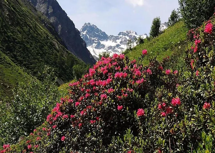 In St Gallenkirch Near Slopes