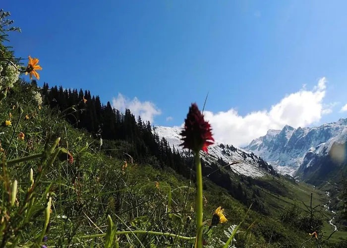 In St Gallenkirch Near Slopes Holiday home Sankt Gallenkirch